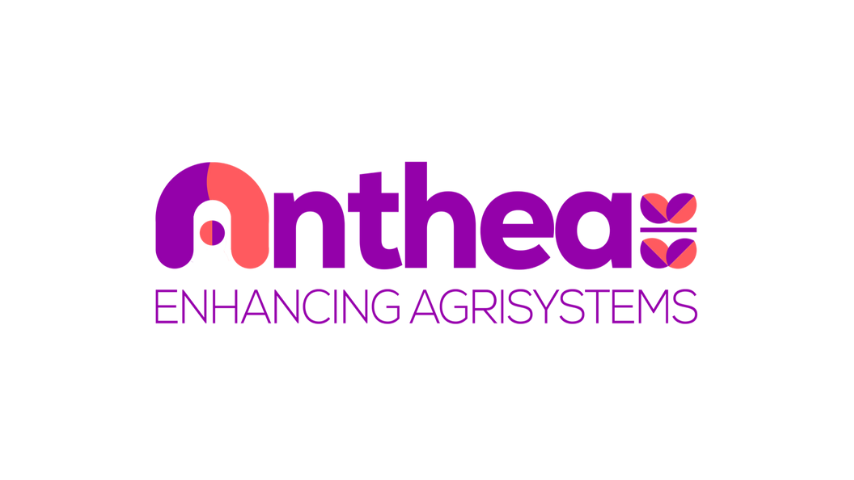 Logo Anthea